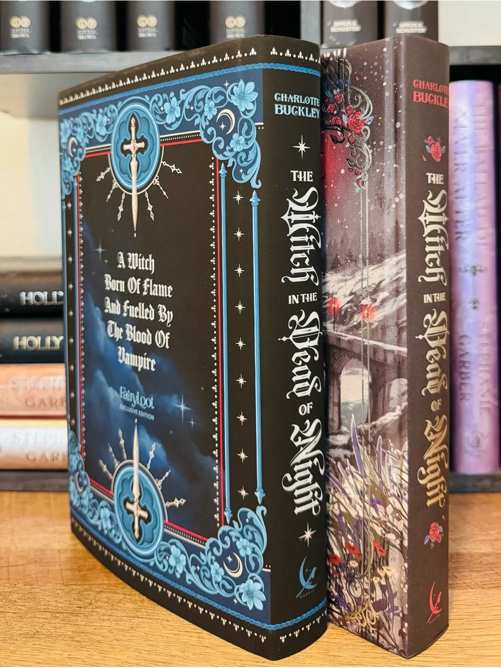 Fairyloot Exclusive The Witch in the Dead of Night by Charlotte Buckley